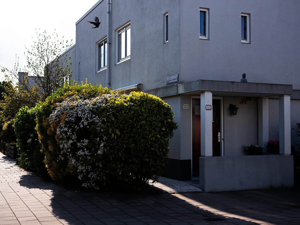 ‘Social utopia’: Europe’s oldest concrete estate Betondorp turns 100