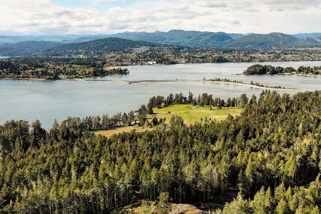 A Vancouver Island ‘rainforest’ cabin is for sale - The Spaces