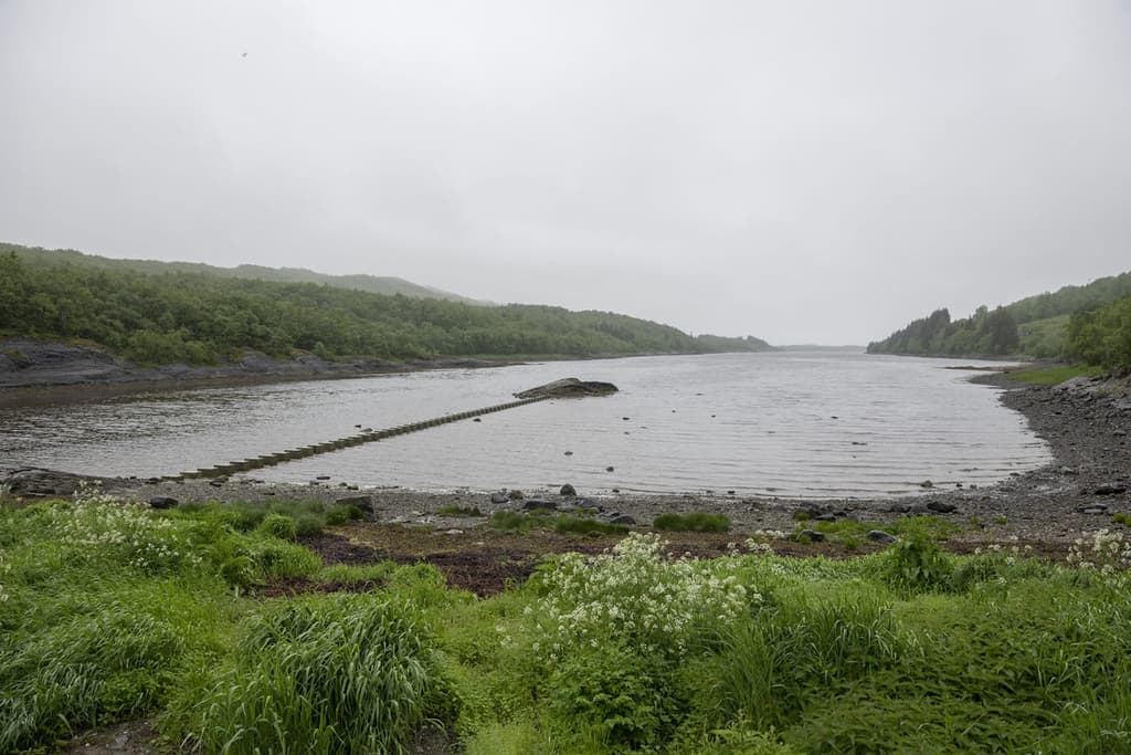 The Traelvikosen Scenic Route is a series of stepping stones across a body of water in Helgelandskysten that creates a temporary causeway at low-tide
