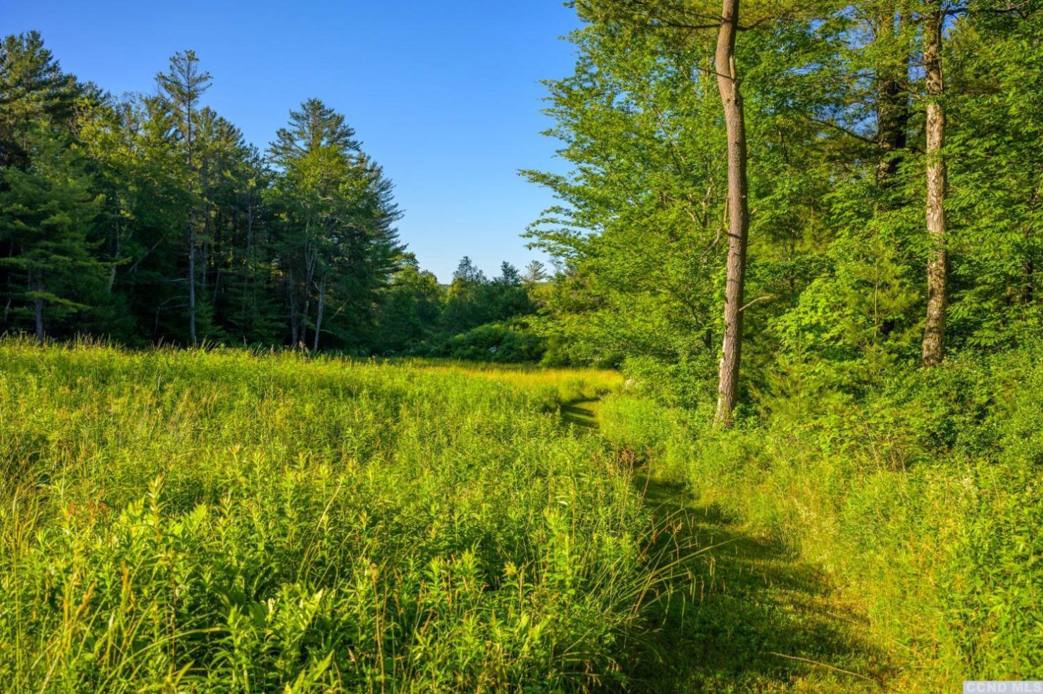 This New York forest home is a rural idyll The Spaces