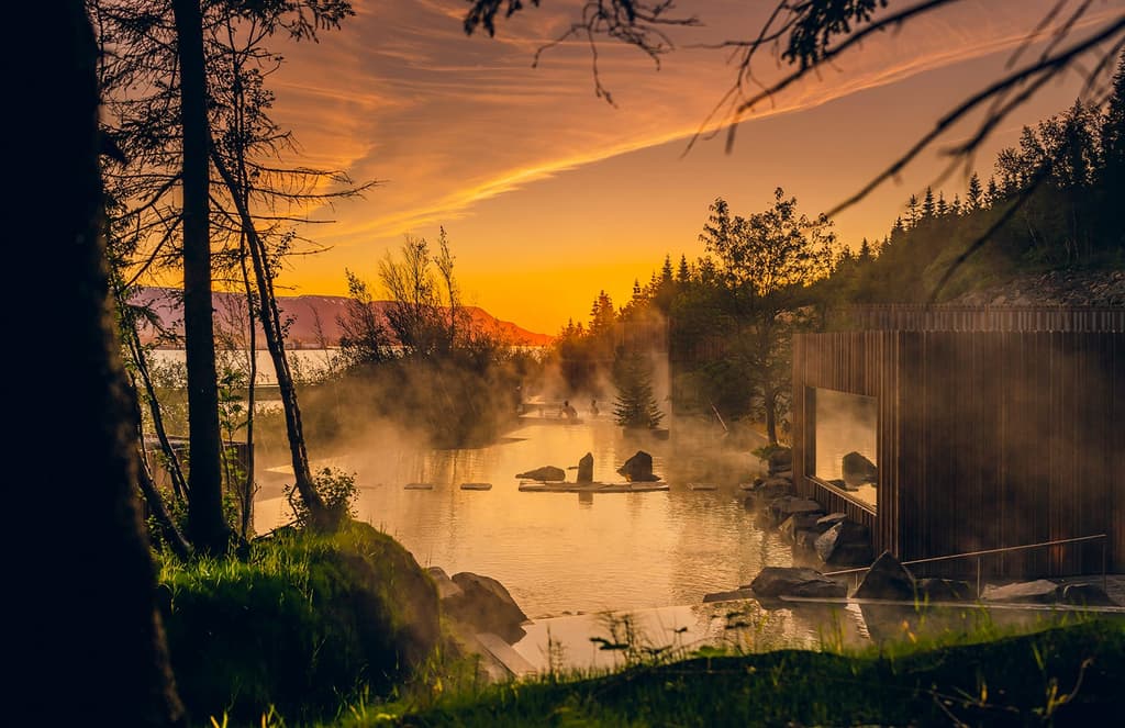 Iceland’s Blue Lagoon architects have designed a spectacular forest spa in the country