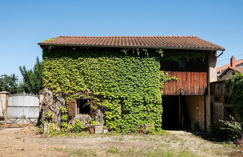 Rhône barn offers a juicy renovation challenge in the wine region