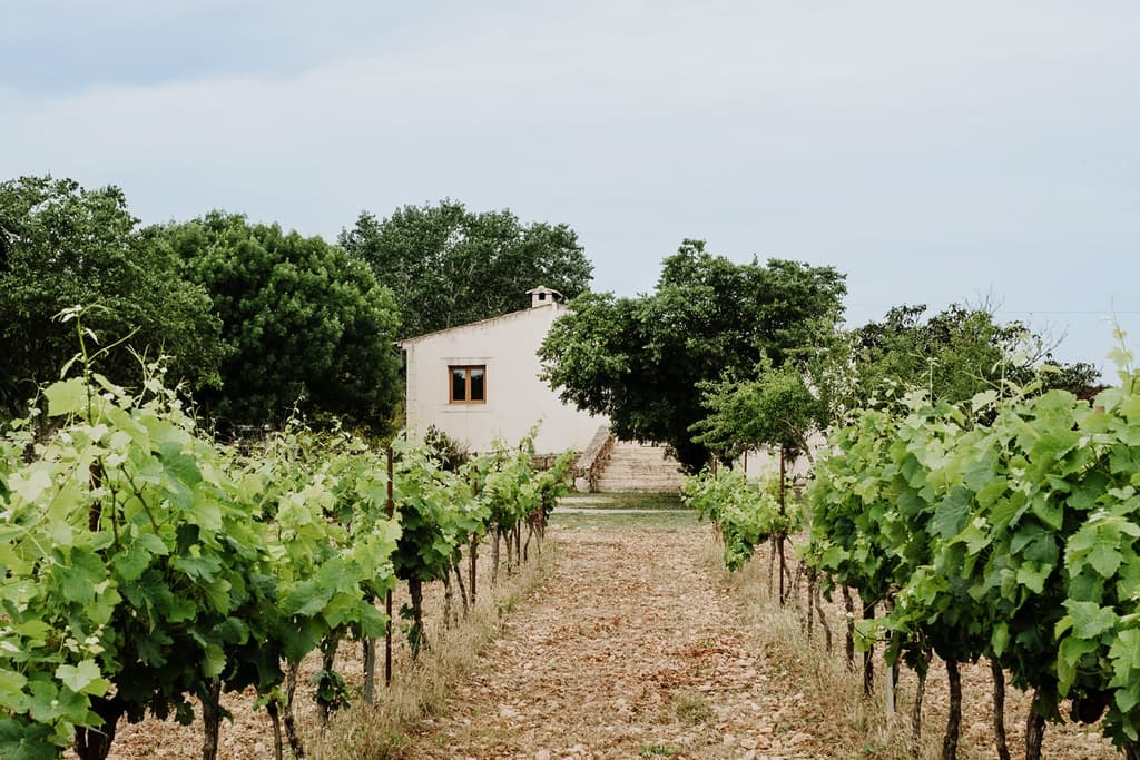 A sustainable Mallorcan farmhouse asks for €900k