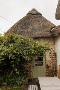 View of the thatched roof