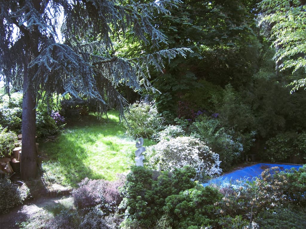 Views of the mature woodland garden, and glimpse of the swimming pool