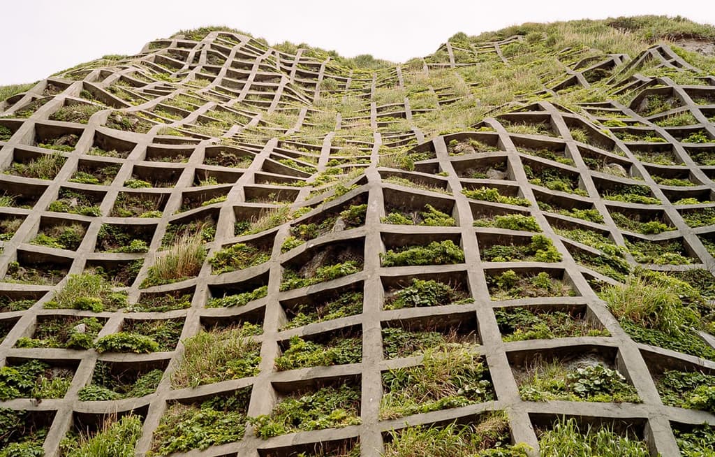 Brutalism is abloom in this new book by Instagrammer Olivia Broome