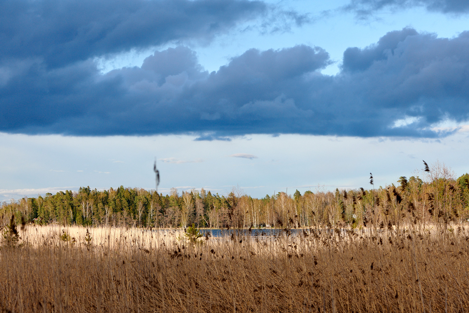 Danskarby hinterland