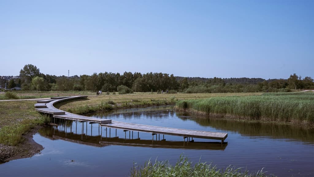 CF Møller's Stork Meadow project integrated a nature park into a flood-defence system next to the Gudenå river in Randers, Denmark. Photography: Silas Andersen