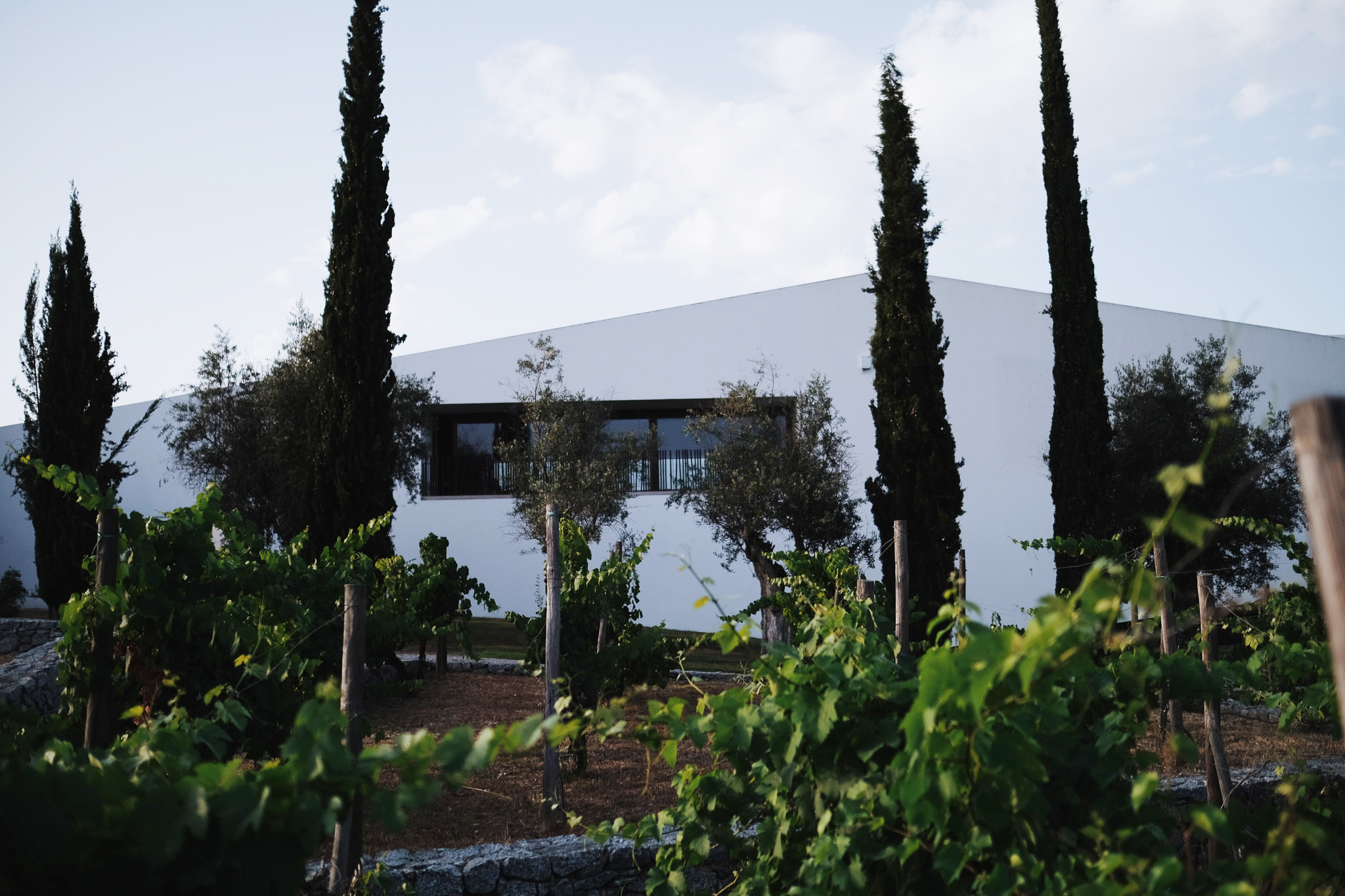The Alentejo landscape is a foil for this angular wine retreat