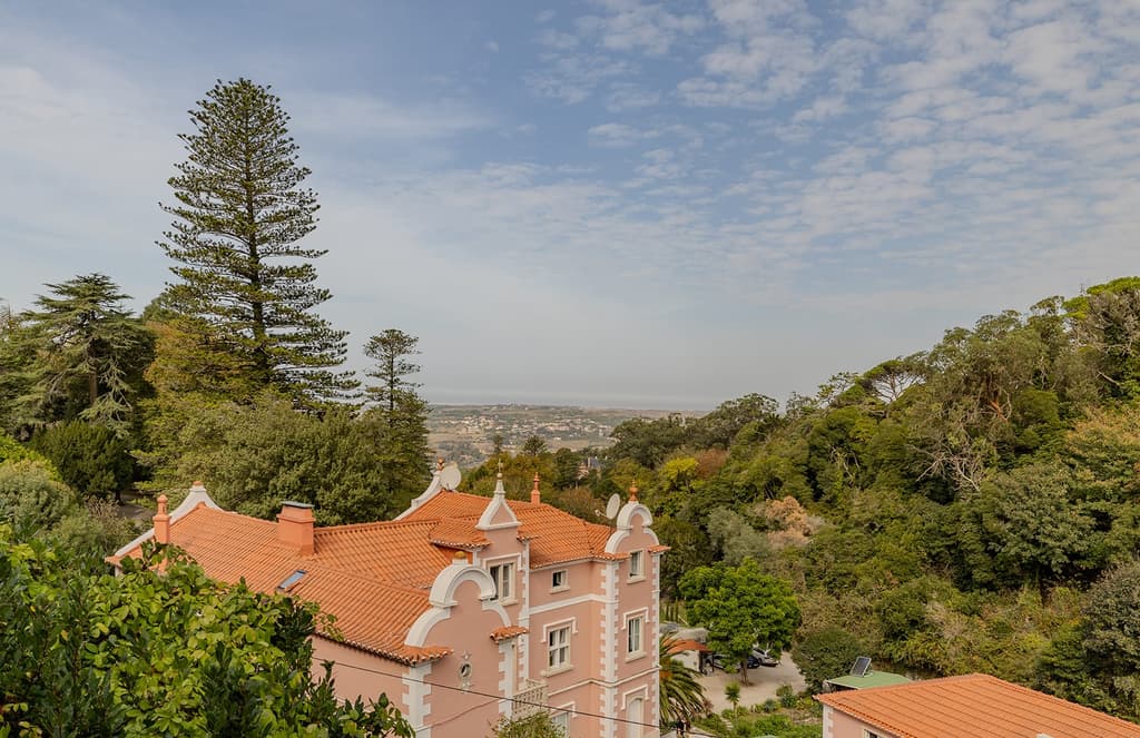 Buyers can convert this 19th-century manor into a boutique hotel