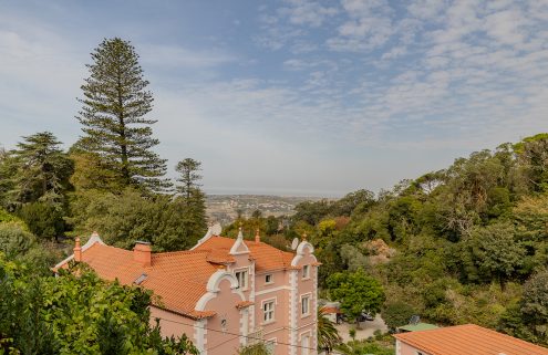 Buyers can convert this  19th-century manor into a boutique hotel