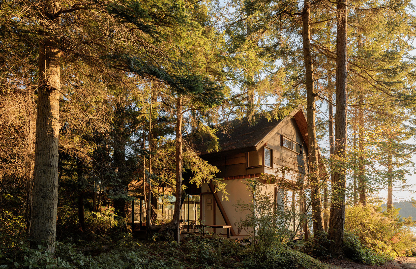 The Spaces has cabin fever