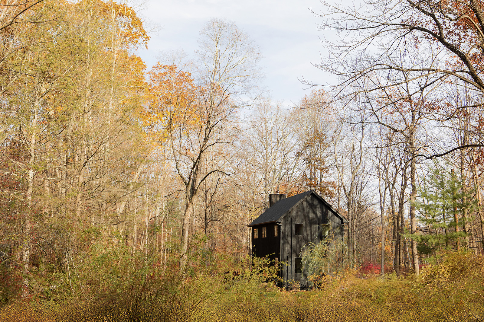 This Catskills retreat is designed around the landscape