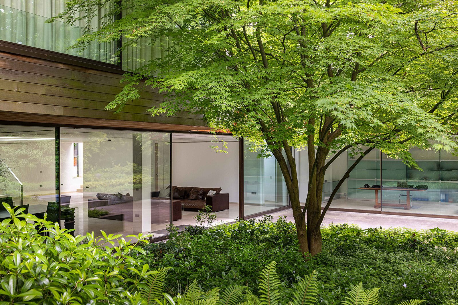 Commune with the elms at this Hampstead home enveloped in glass