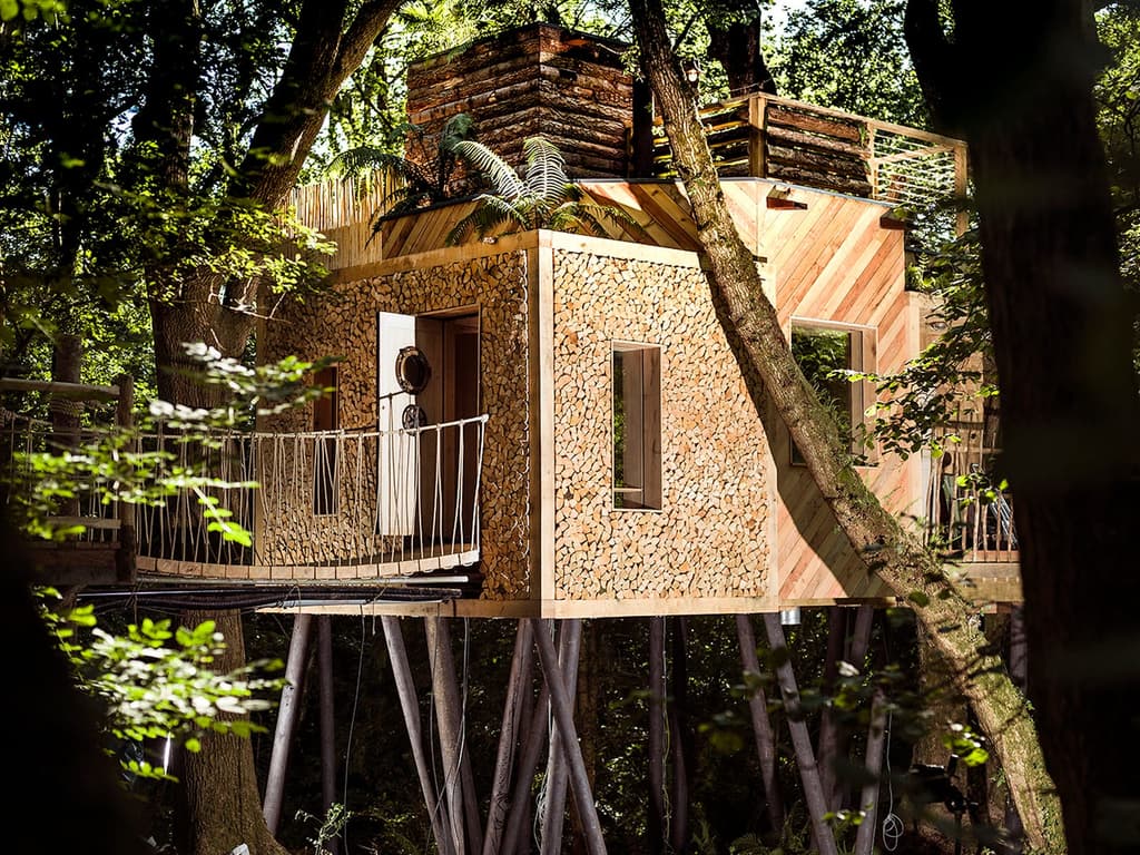 Would you take on three luxury treehouses in the Dorset wild?