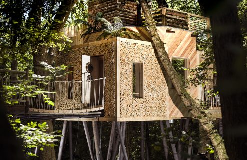 Would you take on three luxury treehouses in the Dorset wild?