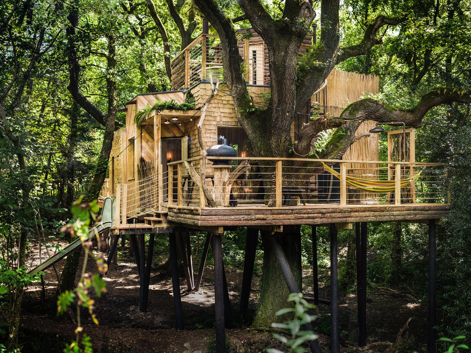 Would you take on three luxury treehouses in the Dorset wild? - The Spaces