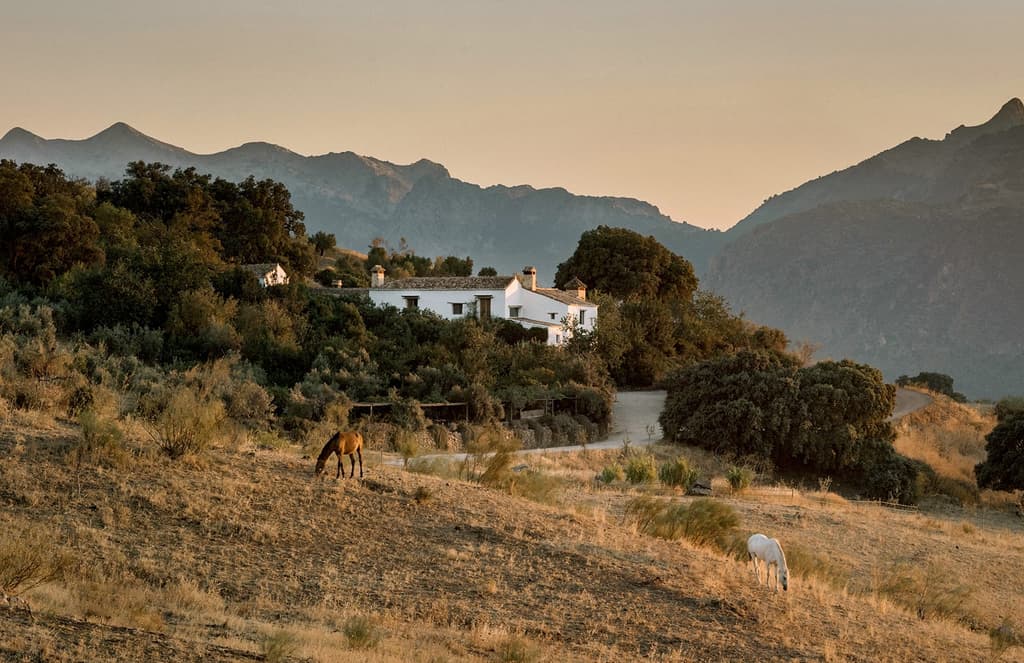 These five far-flung getaways keep you in touch with your wild side