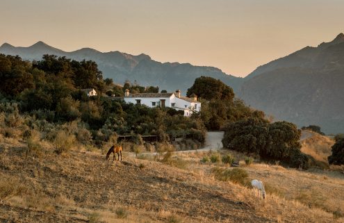 These five far-flung getaways keep you in touch with your wild side