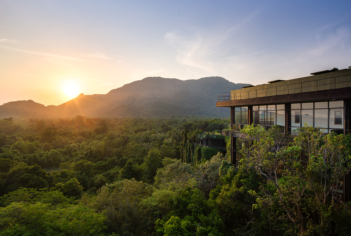 At 80, tropical modernism still lures us into the concrete jungle