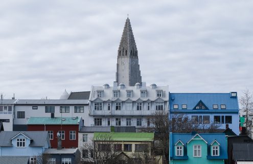 Algae, wool and fish skin: how Icelandic designers are meeting their moment
