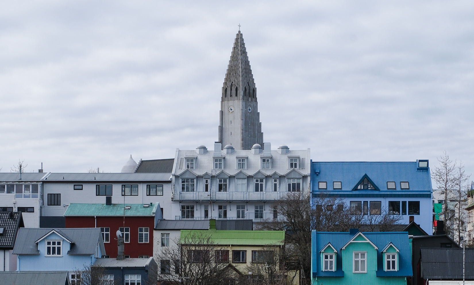 Algae, wool and fish skin: how Icelandic designers are meeting their moment
