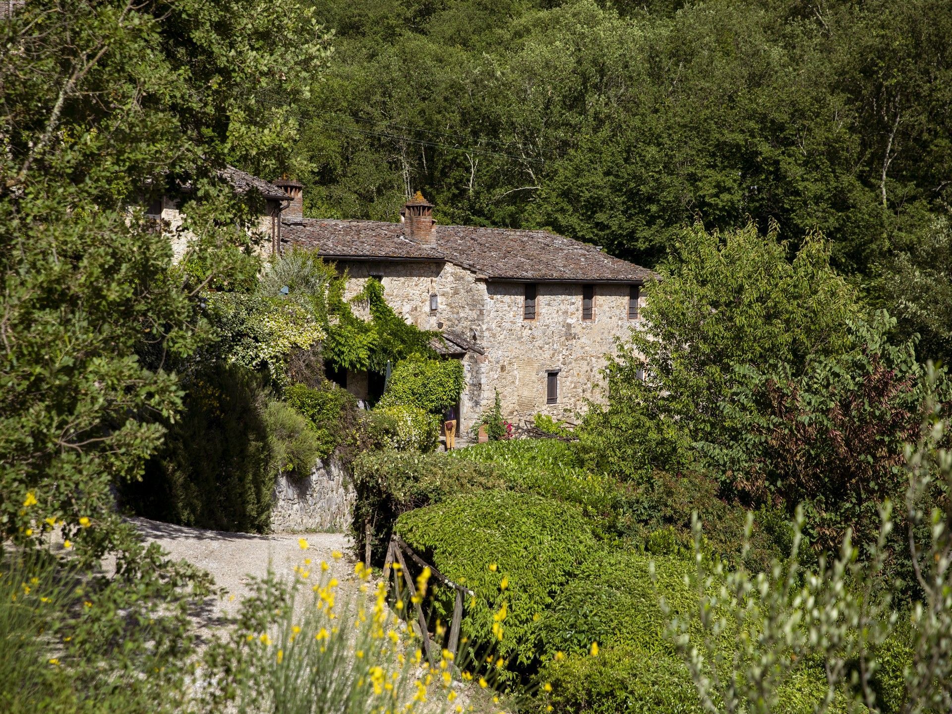 Buy an ancient Tuscan mill with its own streams and waterfalls